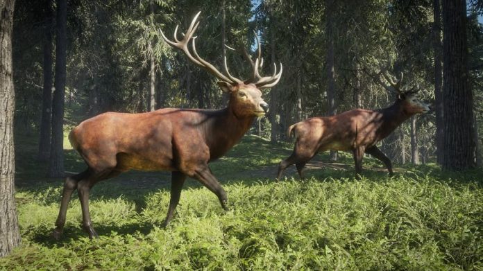 Call of the Wild Header Call of the Wild Header
