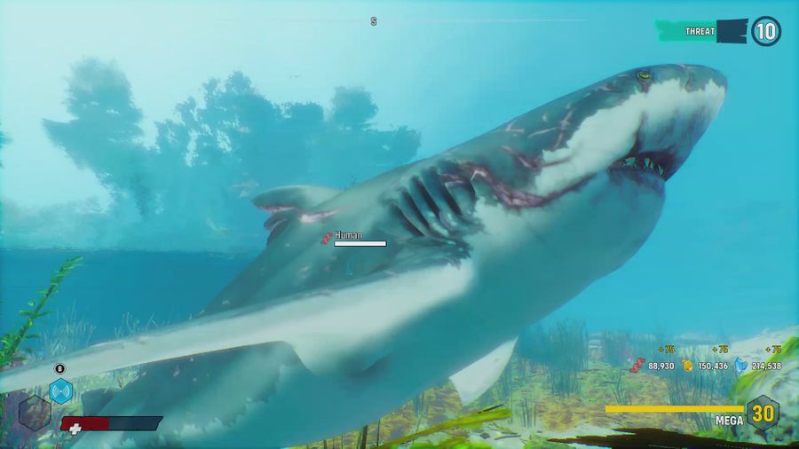 Swim as the shark in 'Maneater