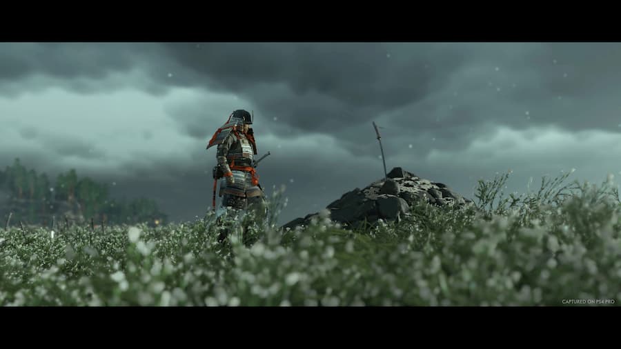 Ghost of Tsushima's Co-Op Mode is A Brand New Game