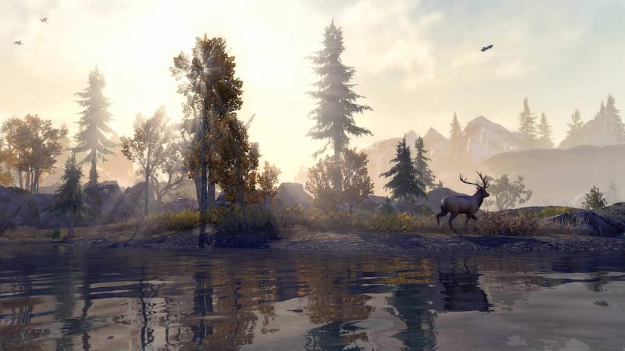 The Elder Scrolls Online Next Gen